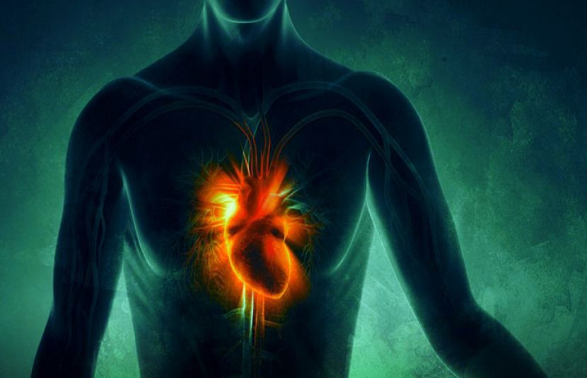  کان کے زریعے دل کی دھڑکن معلوم کرنا ممکن؟ نئی ٹیکنالوجی