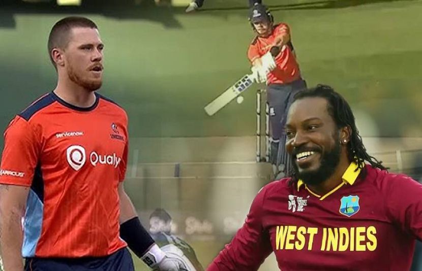 نیوزی لینڈ کے فن ایلن نے ٹی ٹوئنٹی کرکٹ کی اننگز میں سب سے زیادہ چھکے لگانے کا ورلڈ ریکارڈ قائم کردیا۔