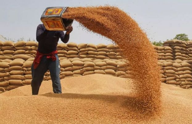پنجاب میں گندم کے بیج کی فی بوری قیمت میں ایک ہزار روپے سستی