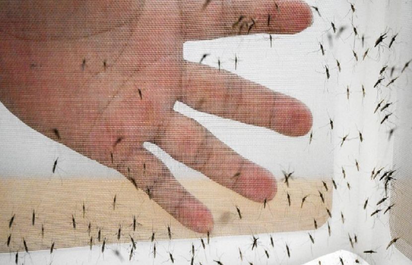 خطرناک بیماریاں