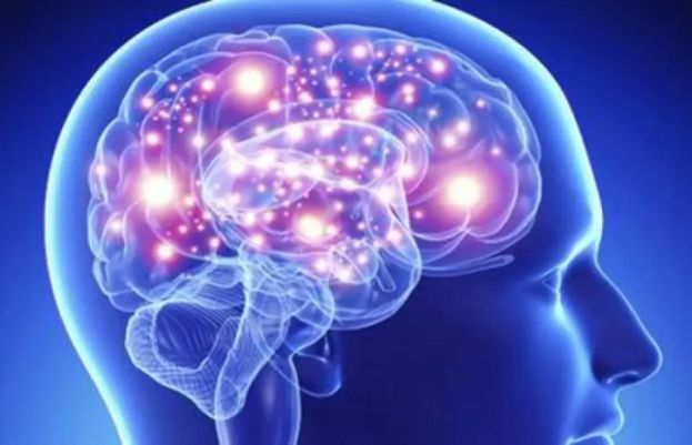 ماہرین کے مطابق انسان کے اندر ایک ’’چھٹی حس‘‘ بھی موجود ہے جو طویل عرصے تک ہماری سمجھ سے پوشیدہ رہی