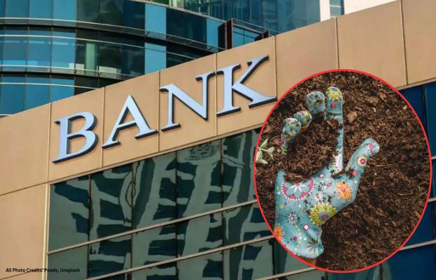 بینک کی مٹی سے امیر بنینے کا خواب پورا کر نےکی کوششں جاری ہے