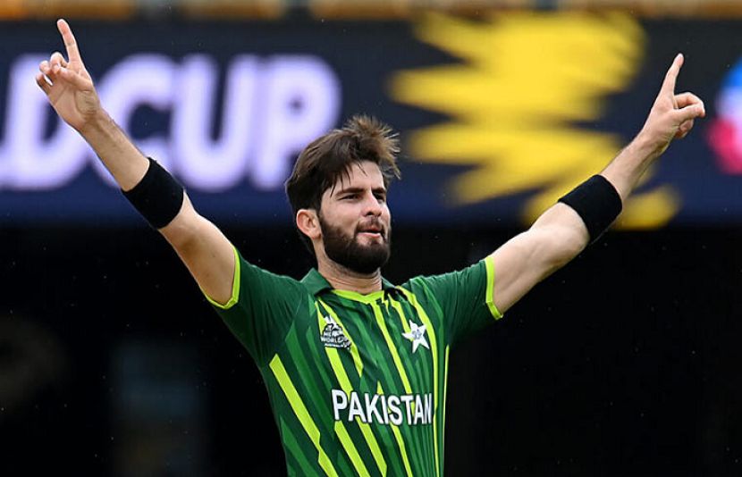 شاہین شاہ آفریدی