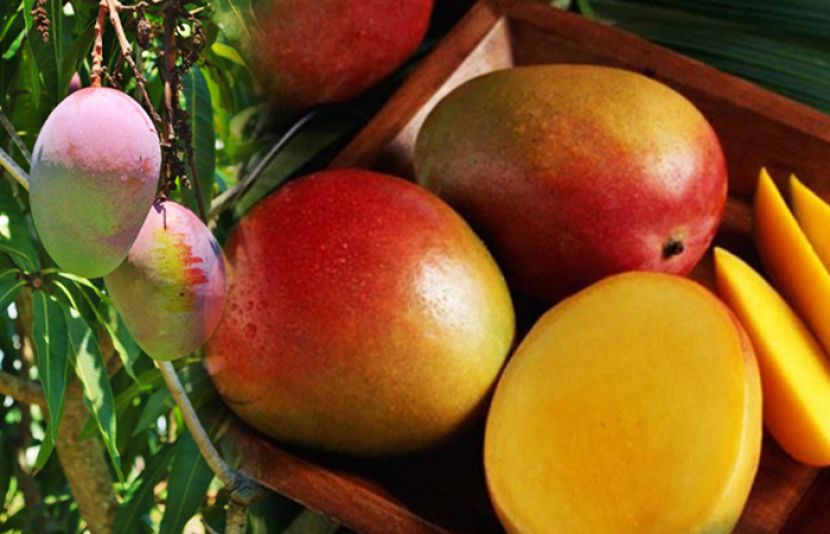 سورج کی تپش