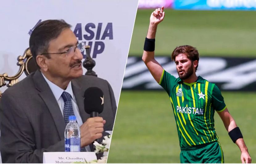 شاہین شاہ آفریدی، ذکا اشرف