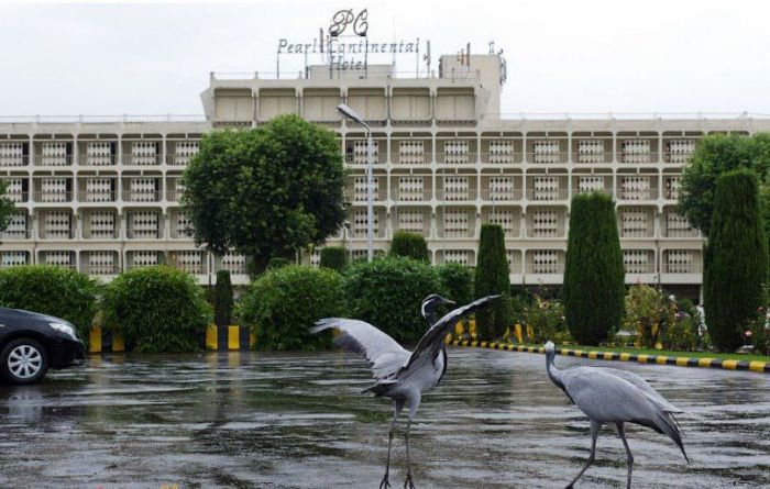 پشاور: پشاور میں بارش، ٹھنڈی ہوائیں چلنے سے سردی میں اضافہ