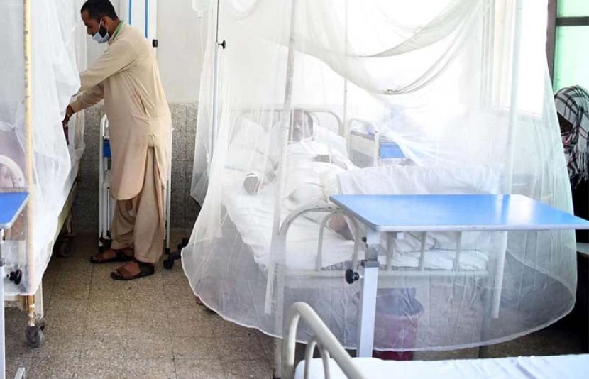 اسلام آباد میں گزشتہ 24 گھنٹوں کےدوران ڈینگی کے کیسزمیں حیران کن اضافہ