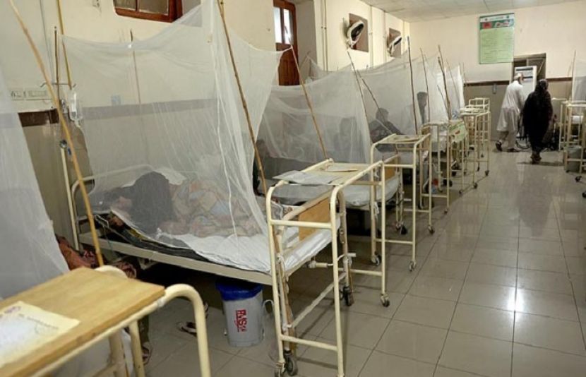 راولپنڈی میں ڈینگی وائرس