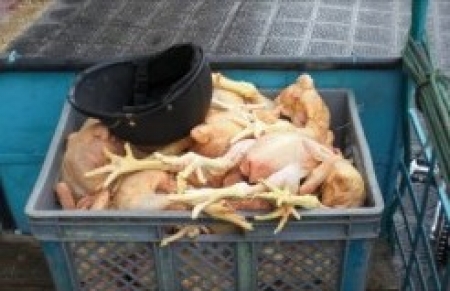 پشاور: لوگوں کو مردہ گوشت کھلانے کا انکشاف