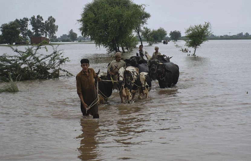 کوٹری بیراج پر پانی کی سطح بلند ہے اور کئی دیہات زیرِ آب ہیں اس کے باعث متاثرین کی نقل مکانی جاری ہے