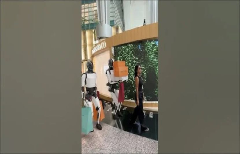 ٹیسلا کے روبوٹس