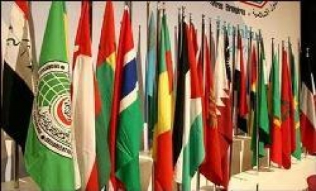 اسلامی تعاون تنظیم کے وزراء خارجہ نے 85 نکات پر مشتمل مشترکہ اعلامیہ کی منظوری دیدی