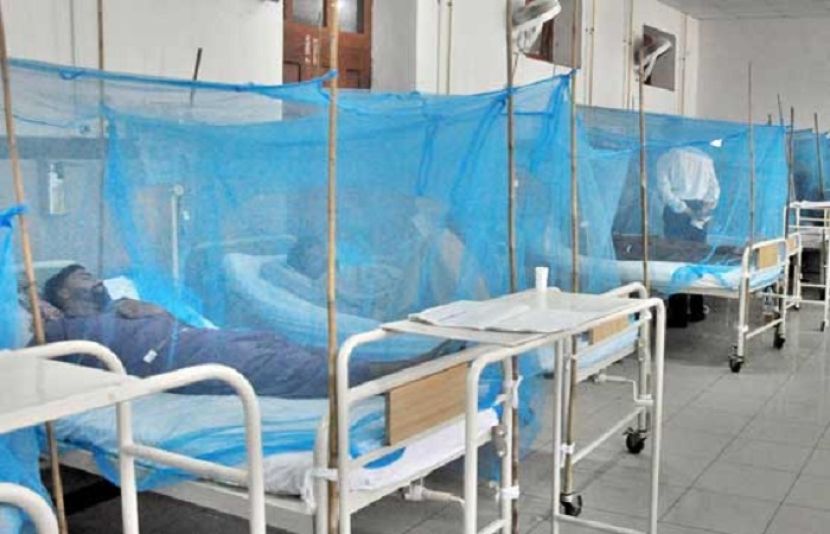 ڈینگی کی شدت میں اضافہ، محکمہ صحت نے الرٹ جاری کر دیا