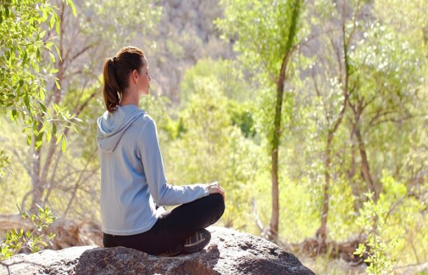 یہ دیوانے ہیں