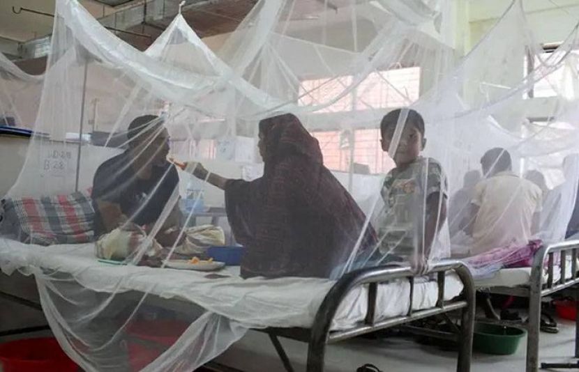 حیدرآباد سمیت اندرون سندھ میں ڈینگی اور ملیریا کے کیسز میں خطرناک اضافہ