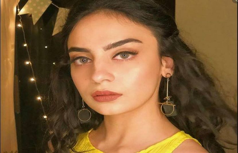 ’ٹیکسالی گیٹ‘ کی اسٹار اور بیرون ملک مقیم پاکستانی فنکارہ مہر بانو نے انکشاف کیا ہے کہ فنکاروں کو کام دینے کے عوض بڑی بڑی ڈیمانڈز اور ناجائز مطالبات کیے جاتے ہیں، اور اس انڈسٹری میں اکثر لڑکے اور لڑکیاں دونوں ہی ہراسانی کا سامنا کرتے ہیں۔