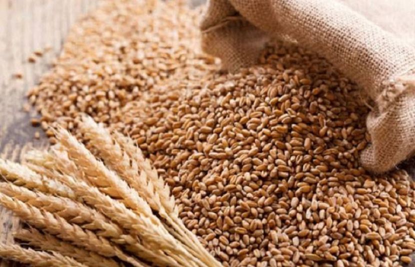 گندم کی قیمتوں میں استحکام کے لیے حکومتی منصوبہ بندی مکمل