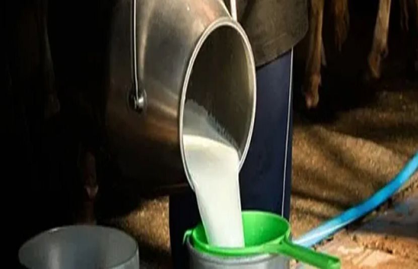 کراچی میں کیمیکل ملا دودھ فروخت کرنے پر کارروائیاں جاری ہیں