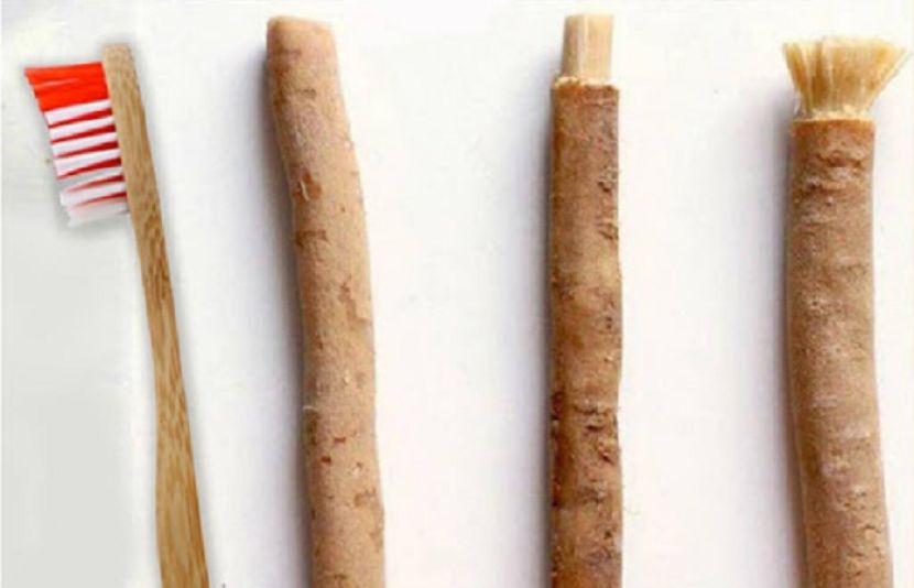 مسواک اور ٹوتھ برش میں ذیادہ بہتر کون ہے؟ سائنسدانوں نے بتادیا