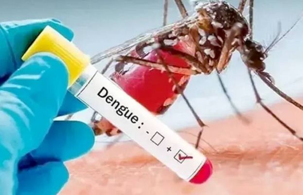 راولپنڈی میں ڈینگی کے مزید 17 کیسز رپورٹ