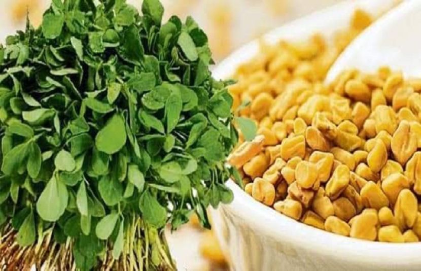 طبِ نبویﷺ کی روشنی میں میتھی کے غذائی و طبی فوائد