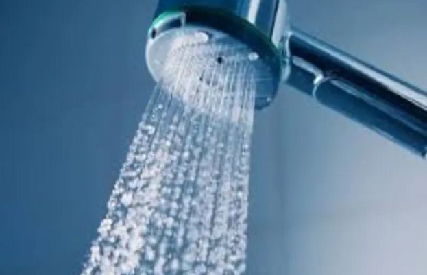 شاور اور اس کے پائپ میں نمی اور گرمی جراثیم اور پھپھوند کے لیے سازگار ماحول پیدا کر دیتی ہے