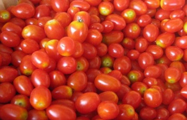 شہر میں ٹماٹر کی فی کلو قیمت 500 روپے سے تجاوز کر چکی ہے