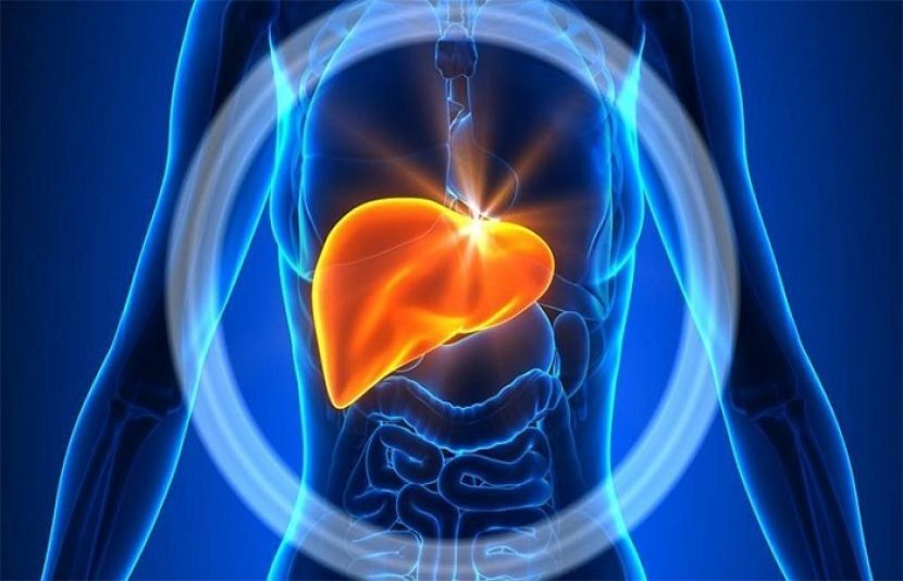 جگر کی چربی کم کرنے کے آسان طریقے