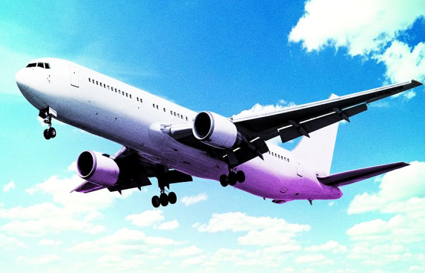 لاہور سے کراچی جانے والی نجی ائیر لائن کی پرواز سے پرندہ ٹکرا گیا