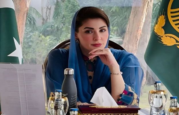 وزیر اعلیٰ پنجاب کا نواز شریف کارڈیالوجی سنٹر کا دورہ، مریضوں میں پھل اور تحائف تقسیم کیے