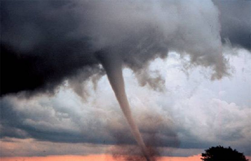 تاندلیانوالہ میں دریائے راوی کے قریب اچانک اٹھنے والے طوفانی بگولے نے تباہی مچا دی