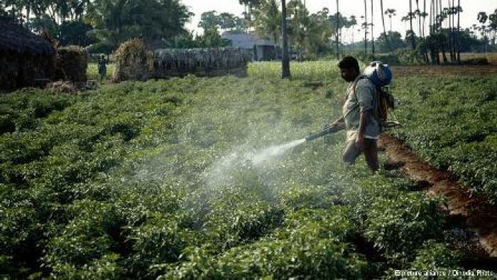 کیڑے مار ادویات سرطان، اسقاط حمل اور سانس کی بیماریوں کی وجہ