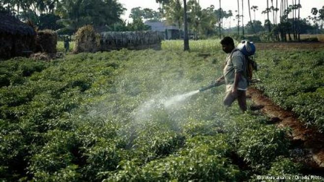 کیڑے مار ادویات سرطان، اسقاط حمل اور سانس کی بیماریوں کی وجہ