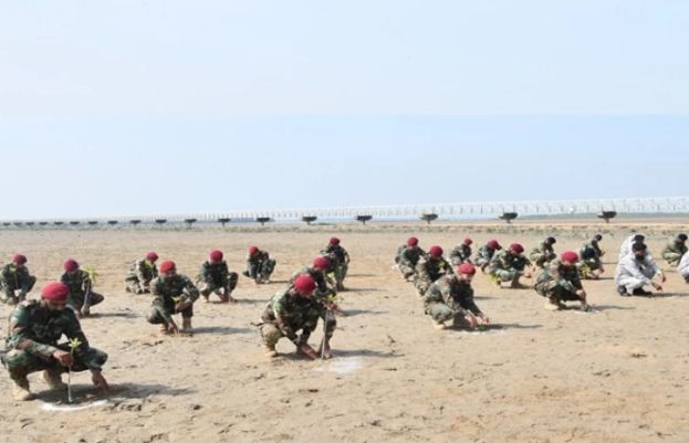 پاک بحریہ کی مینگروو شجرکاری مہم 2025 کا آغاز