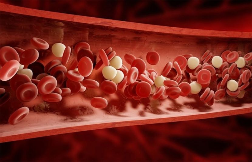 چہرہ اور خون صاف کرنے کے بہترین نسخہ جانیے