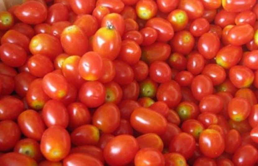مختلف شہروں میں ٹماٹر کی قیمتوں میں نمایاں کمی دیکھنے میں آئی ہے۔