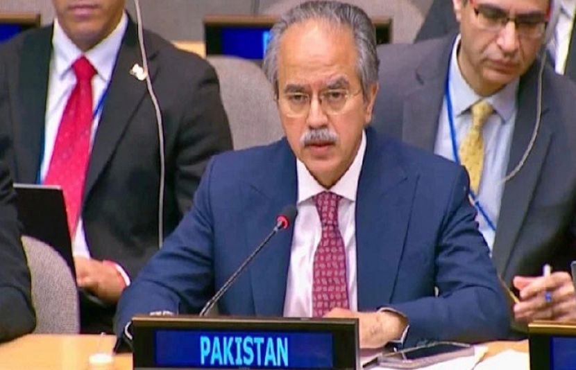 اقوام متحدہ کی جنرل اسمبلی میں پاکستان نے روہنگیا مسلمانوں کی محفوظ واپسی پر زور دیا ہے