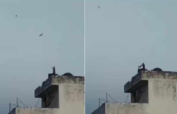 بھارت میں بندر کی پتنگ اُڑانے کی ویڈیو سوشل میڈیا پر وائرل ہوگئی۔