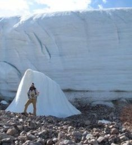 صدیوں قبل منجمد ہونے والے پودے زندہ