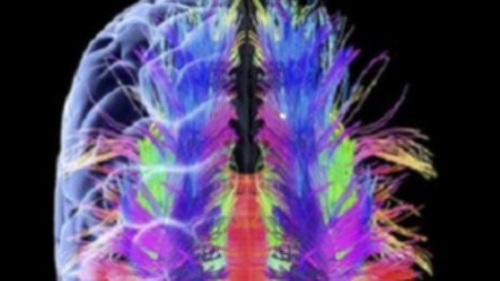 یادداشت کمزور ہونے کا راز