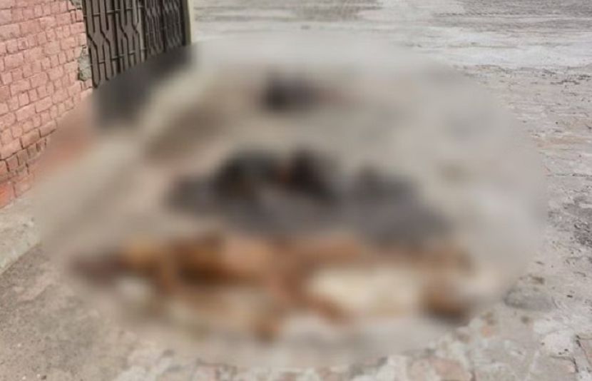 لاہور کے علاقے شاہدرہ ٹاؤن میں گھرکے سربراہ نے اہلخانہ کو زہریلی گولیاں کھلادیں۔