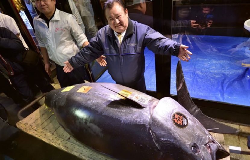 ٹیونا مچھلی چھ کروڑ سے زائد میں فروخت