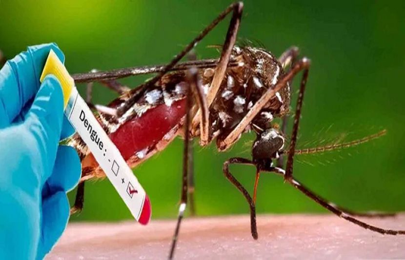 محکمہ صحت کی رپورٹ کے مطابق وفاقی دارالحکومت میں گزشتہ 24 گھنٹے میں مزید 15 ڈینگی کیسز رپورٹ ہوئے ہیں