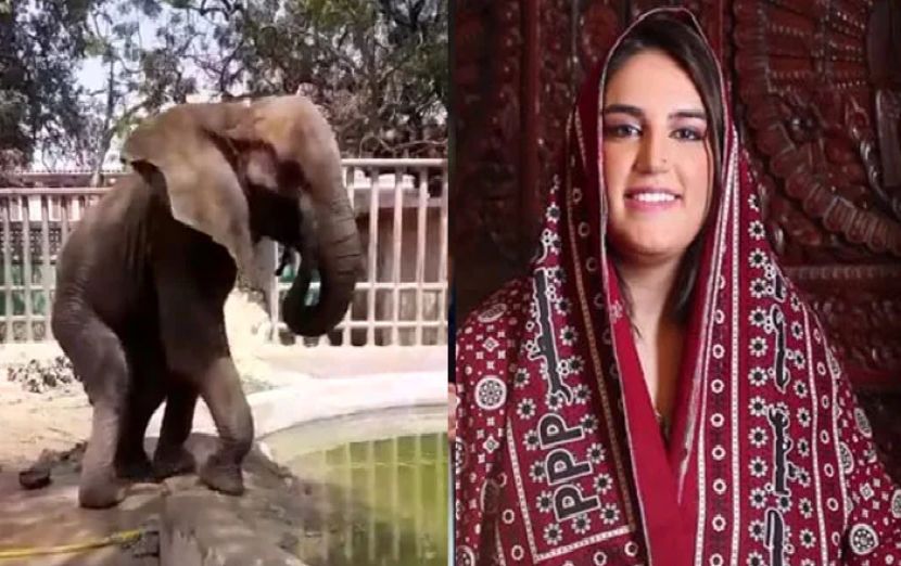 بختاور بھٹو زرداری نے کراچی چڑیا گھر کو بند کرنے کا مطالبہ کر دیا