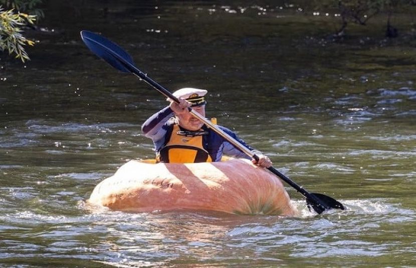 ایوارڈ کی تقریب میں اس کدو نے مارک کے دوست ایڈم فرکاسن کی توجہ حاصل کرلی