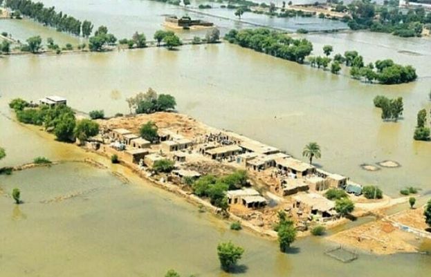 خیبر پختونخوا میں سیلاب کے باعث فصلوں کو پہنچنے والے نقصانات کی رپورٹ جاری