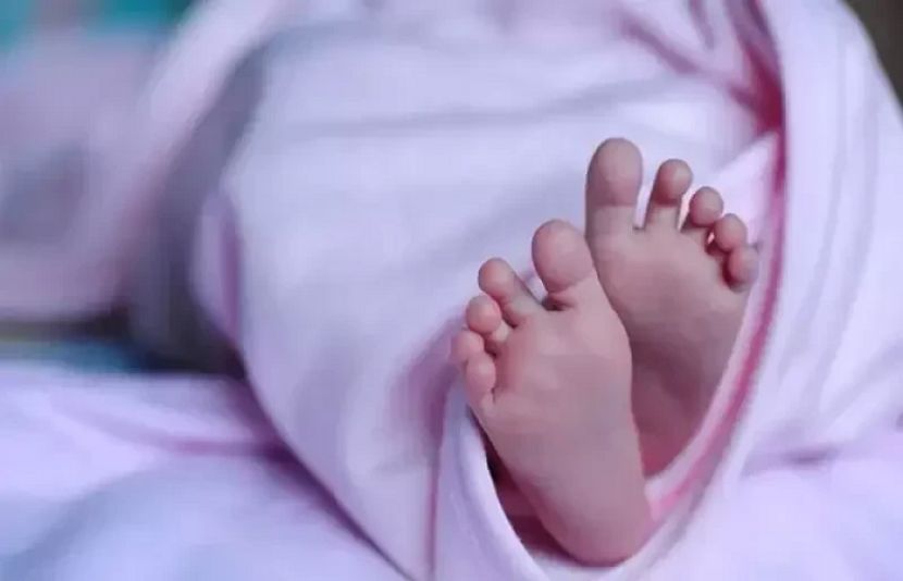 &quot;خلا میں زندگی کی شروعات&quot;۔