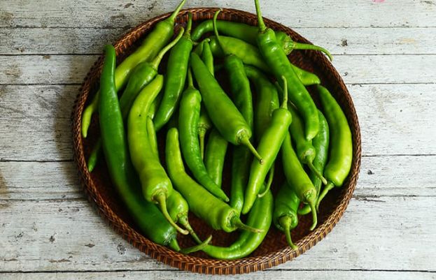 ہری مرچ کا استعمال کئی خطرناک بیماریوں سے بچانے کی ضمانت