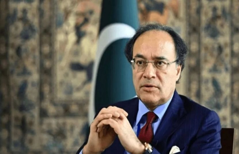 وفاقی وزیر خزانہ محمد اورنگزیب