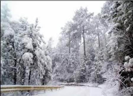 مری اور گلیات میں شدید برفباری کا آغاز